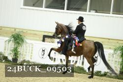 24BUCK_09503 thumbnail