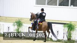 24BUCK_09505 thumbnail
