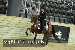 24BUCK_09508 thumbnail