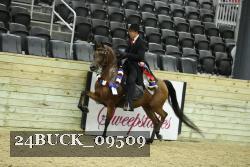 24BUCK_09509 thumbnail