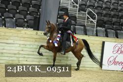 24BUCK_09511 thumbnail