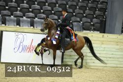 24BUCK_09512 thumbnail