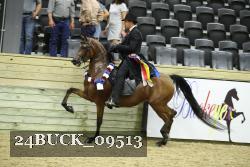 24BUCK_09513 thumbnail