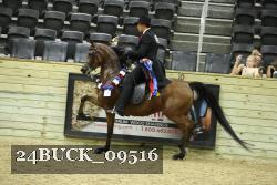 24BUCK_09516 thumbnail