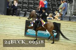 24BUCK_09518 thumbnail