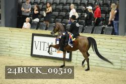 24BUCK_09519 thumbnail