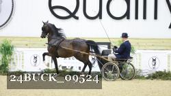 24BUCK_09524 thumbnail