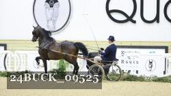 24BUCK_09525 thumbnail