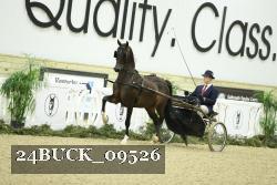 24BUCK_09526 thumbnail