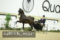 24BUCK_09527 thumbnail