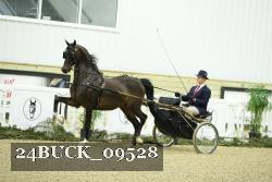 24BUCK_09528 thumbnail