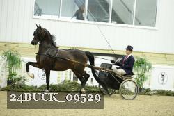 24BUCK_09529 thumbnail