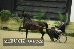24BUCK_09532 thumbnail