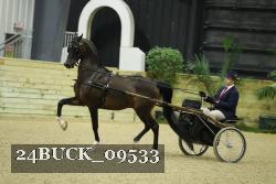 24BUCK_09533 thumbnail