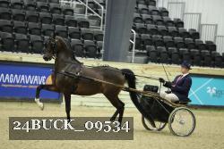 24BUCK_09534 thumbnail