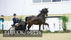 24BUCK_09536 thumbnail