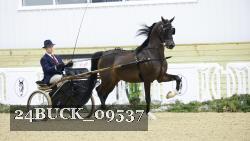 24BUCK_09537 thumbnail