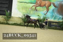 24BUCK_09541 thumbnail