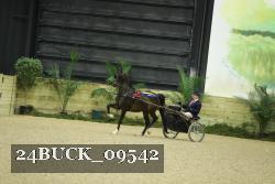 24BUCK_09542 thumbnail