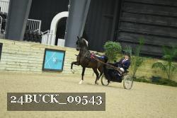 24BUCK_09543 thumbnail
