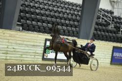 24BUCK_09544 thumbnail