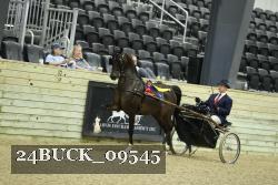 24BUCK_09545 thumbnail