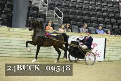 24BUCK_09548 thumbnail