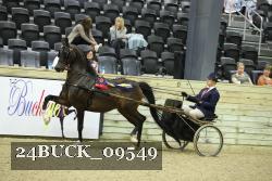 24BUCK_09549 thumbnail