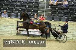 24BUCK_09550 thumbnail