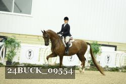 24BUCK_09554 thumbnail