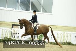 24BUCK_09555 thumbnail