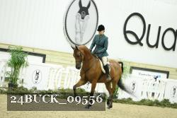24BUCK_09556 thumbnail