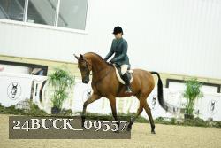 24BUCK_09557 thumbnail
