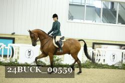 24BUCK_09559 thumbnail