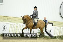 24BUCK_09561 thumbnail