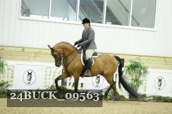 24BUCK_09563 thumbnail
