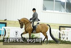24BUCK_09564 thumbnail
