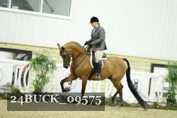 24BUCK_09575 thumbnail