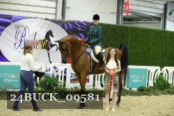 24BUCK_09581 thumbnail