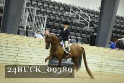 24BUCK_09589 thumbnail