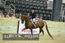 24BUCK_09590 thumbnail