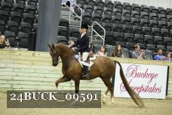 24BUCK_09591 thumbnail