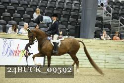 24BUCK_09592 thumbnail