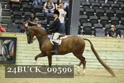 24BUCK_09596 thumbnail