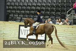 24BUCK_09598 thumbnail