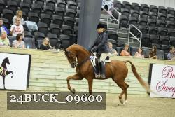 24BUCK_09600 thumbnail