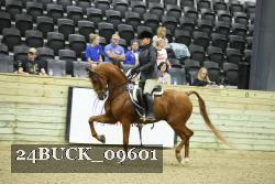 24BUCK_09601 thumbnail