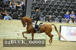 24BUCK_09602 thumbnail