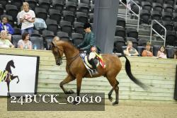 24BUCK_09610 thumbnail