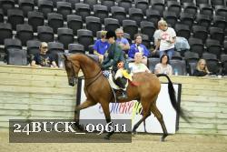 24BUCK_09611 thumbnail